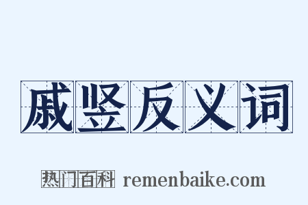 戚竖反义词是什么意思的图片